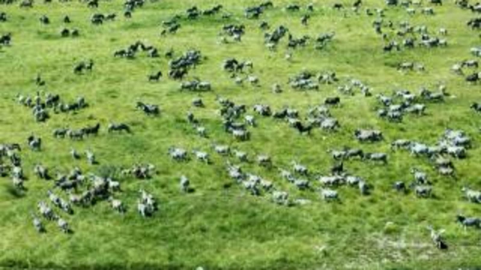 makgadikgadi-pans-game-reserve