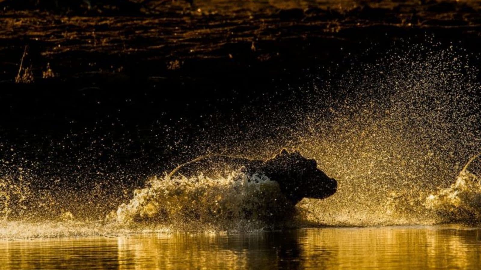 Lake Mutirikwi Recreational Park