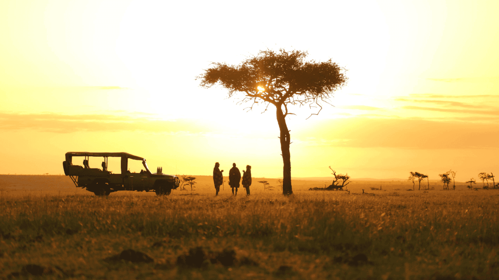 Leopard Hill Savanna & Stars