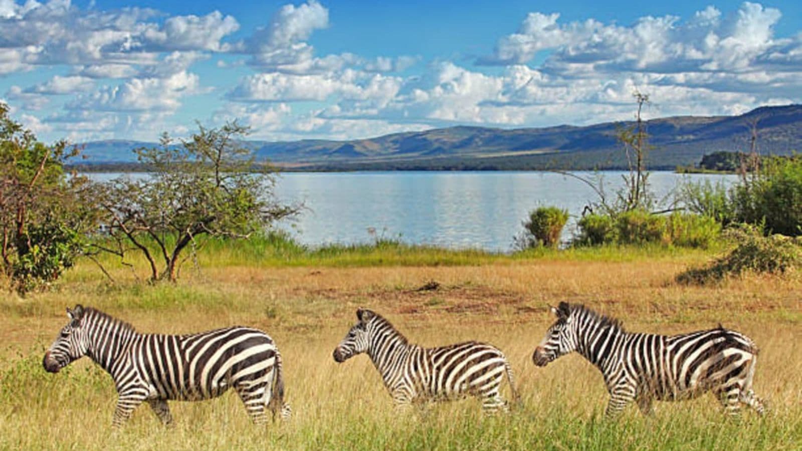 Akagera National Park