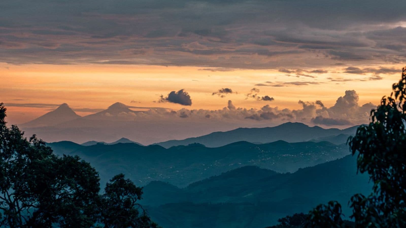 Nyungwe National Park