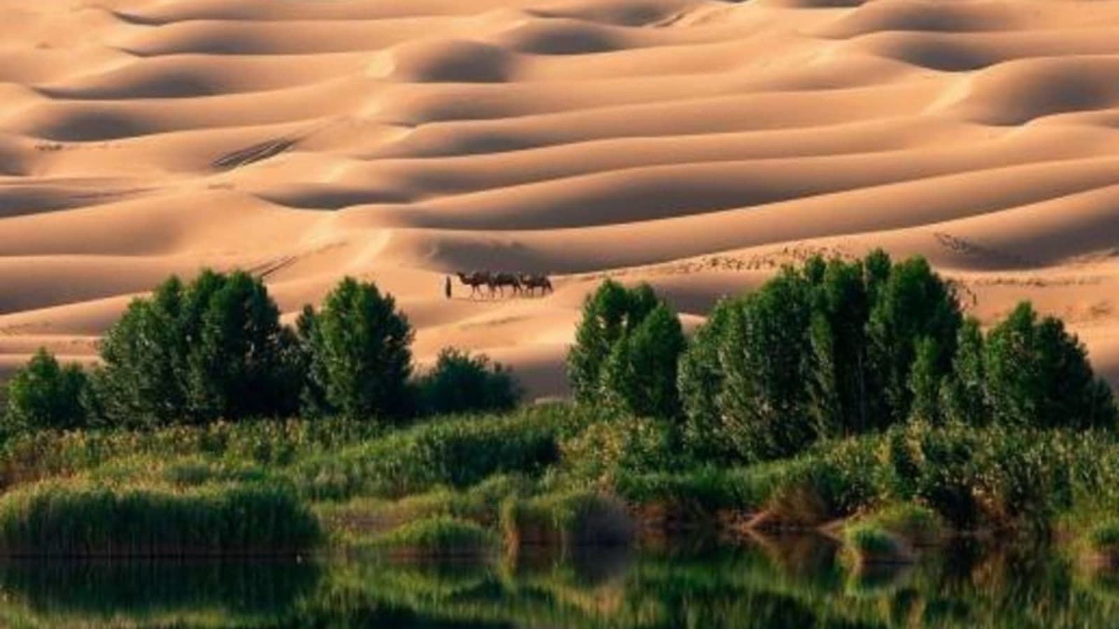 Masak Staff – The Eternal Desert Panel