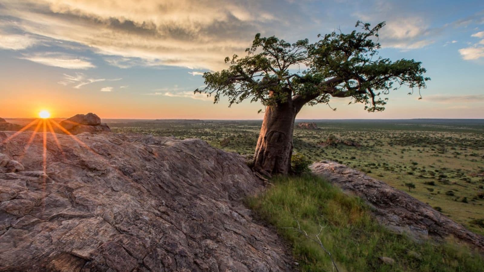 northern-tuli-game-reserve