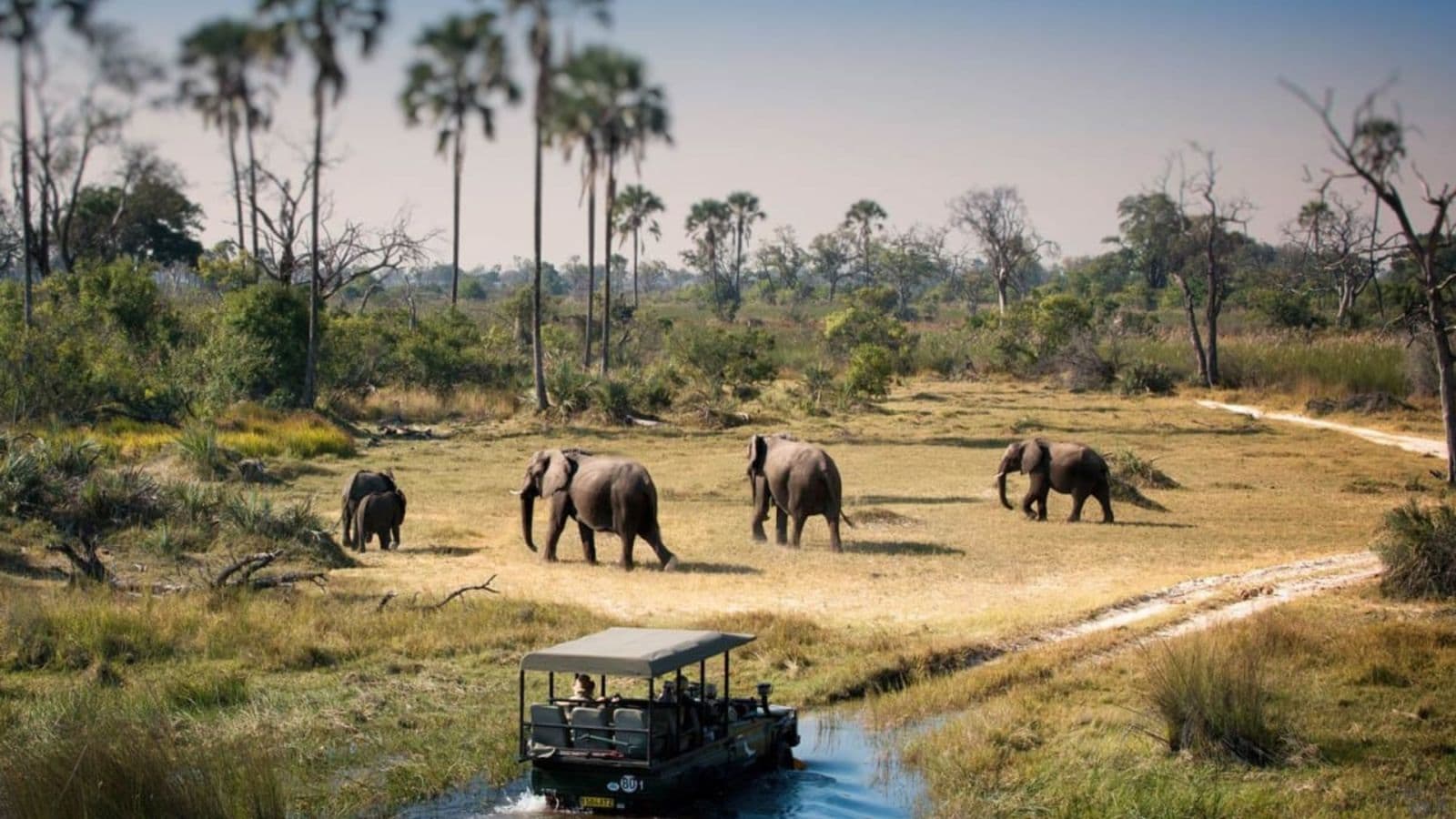 chobe-national-park