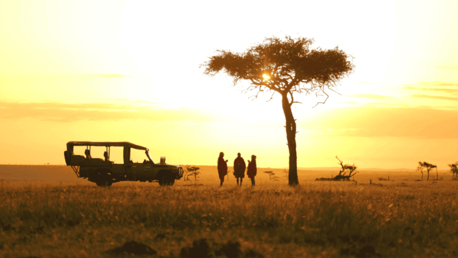 Leopard Hill Savanna & Stars