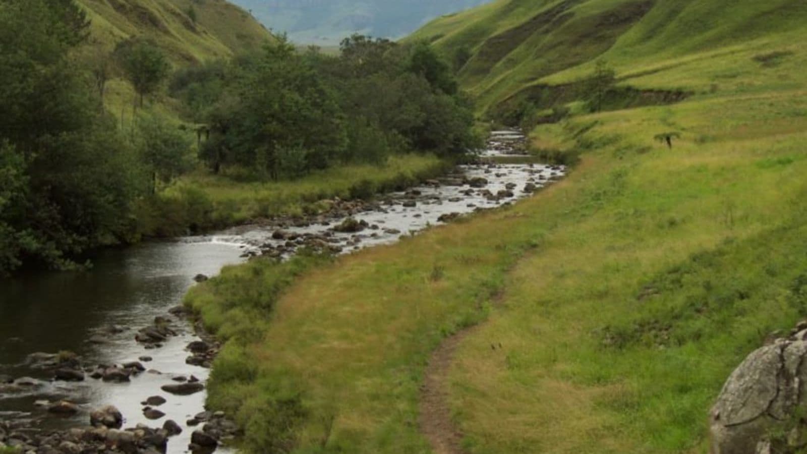 Pungwe