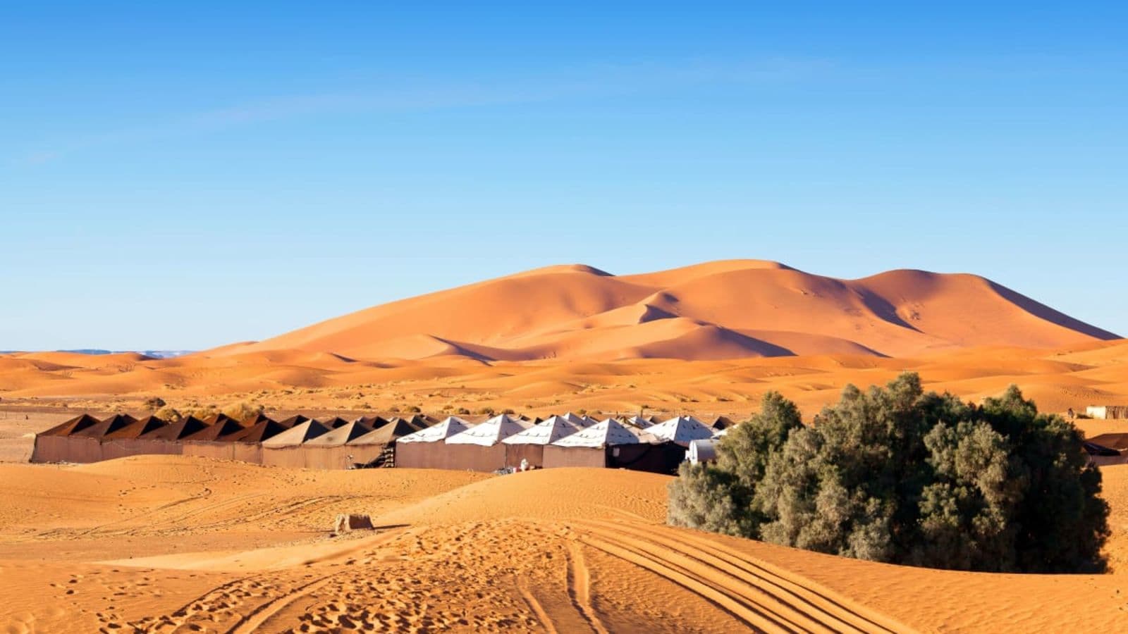 Sahara Desert