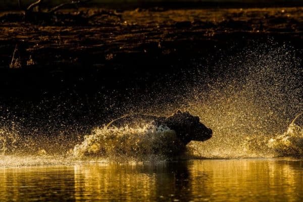 Lake Mutirikwi Recreational Park