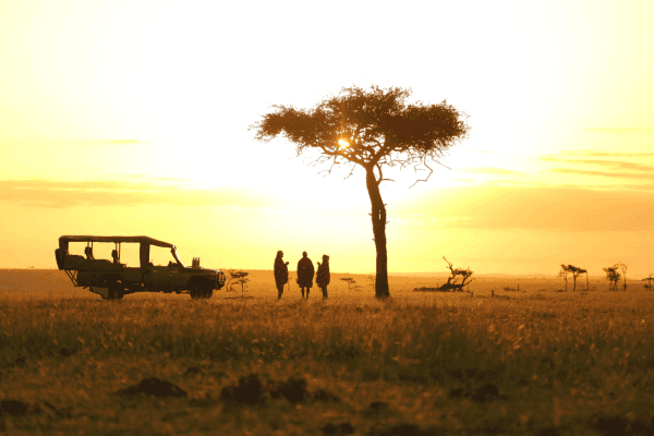 Leopard Hill Savanna & Stars