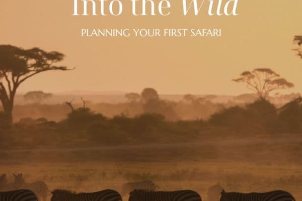 Wild Wings Safaris