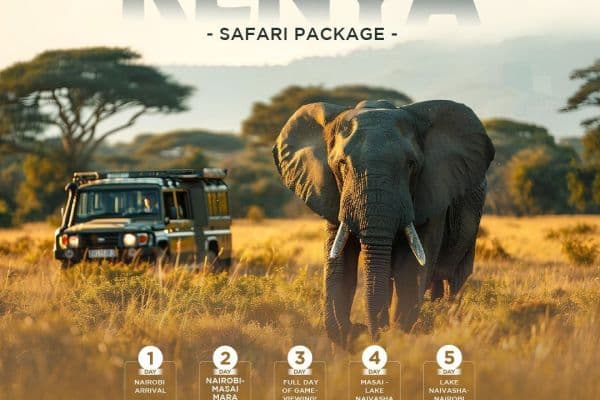 Super Eagles Travel and Tours