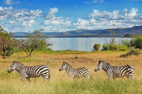 Akagera National Park