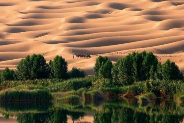 Masak Staff – The Eternal Desert Panel