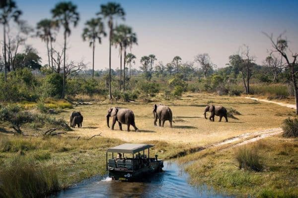 chobe