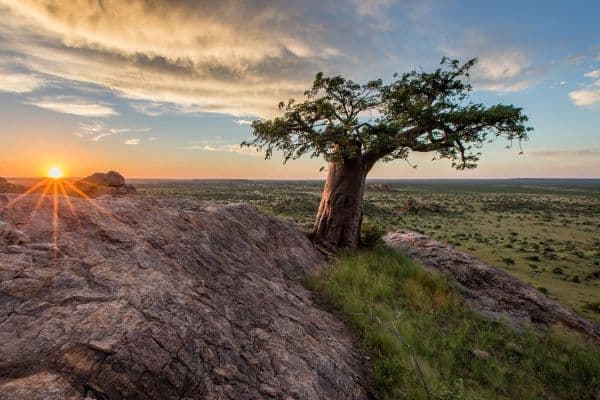 northern-tuli-game-reserve
