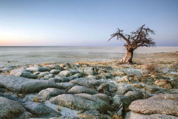 makgadikgadi-and-nxai-pans