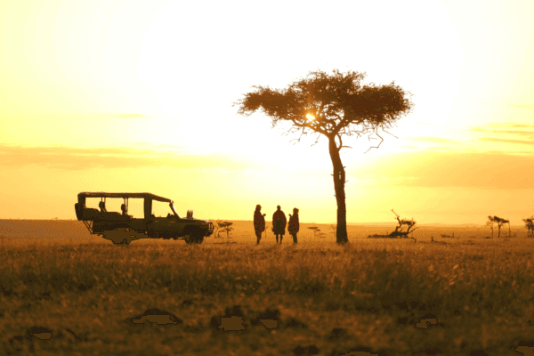 Leopard Hill Savanna & Stars