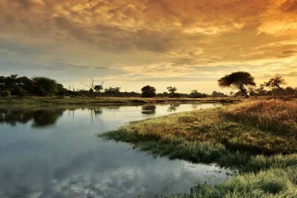 Hwange National Park