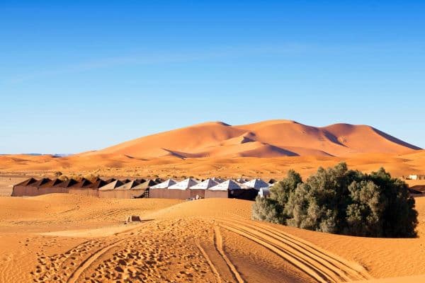 Sahara Desert