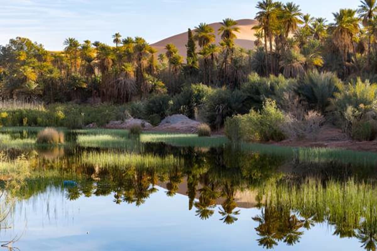 M’Zab Valley - photo 2