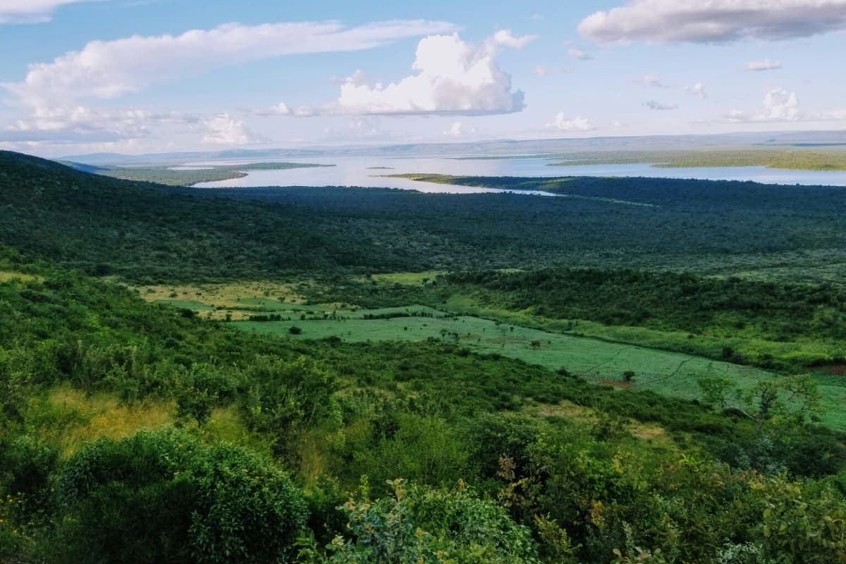 Akagera National Park - photo 3