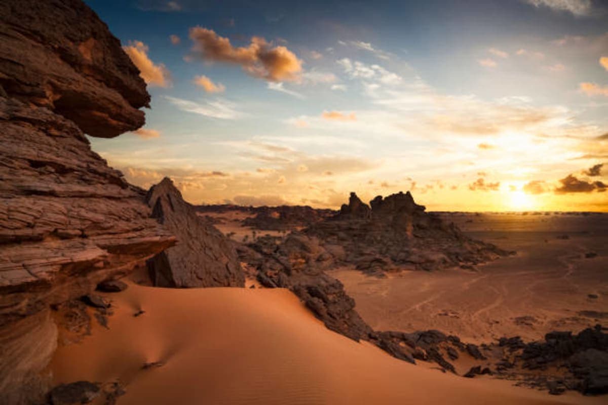 Masak Staff – The Eternal Desert Panel - photo 2