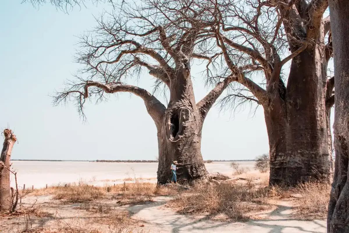 nxai-pan-national-park - photo 2