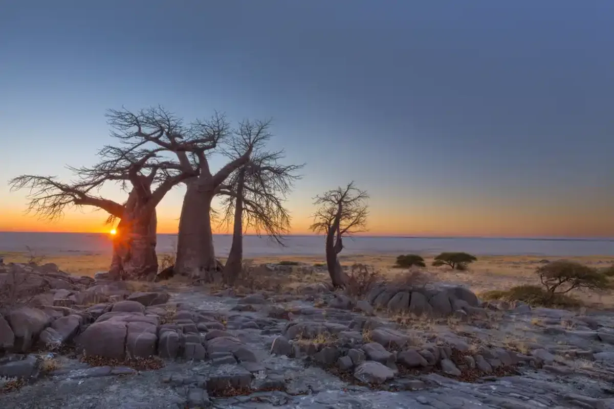 nxai-pan-national-park - photo 3