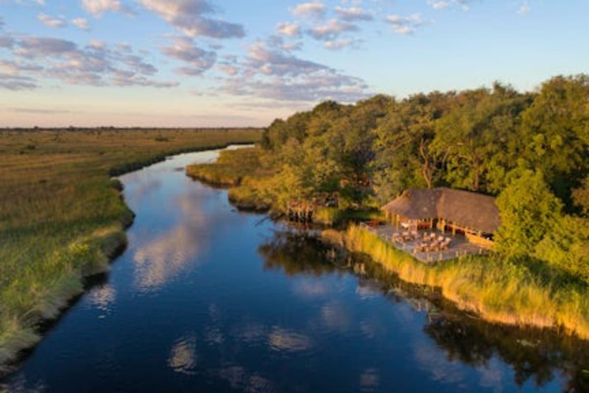 moremi-game-reserve - photo 2