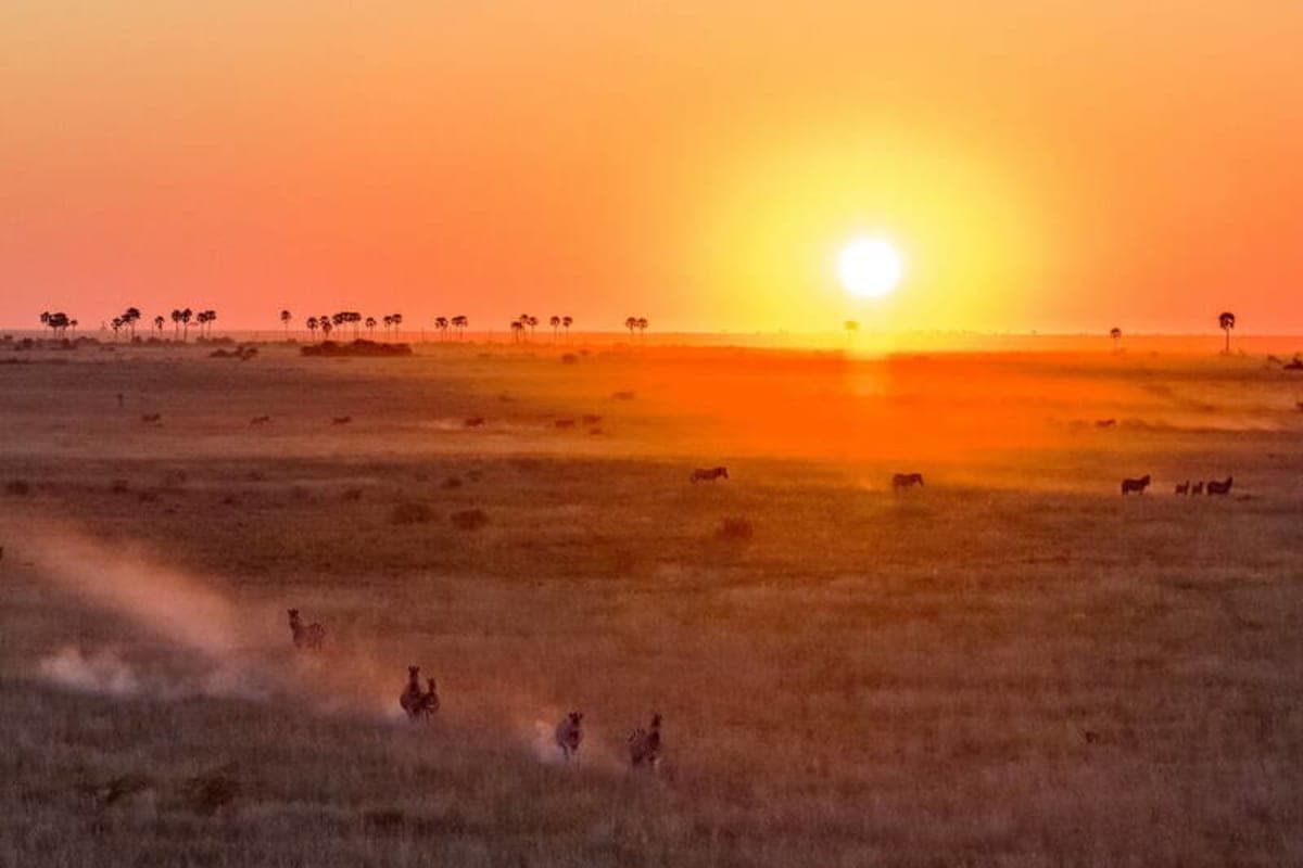 makgadikgadi-and-nxai-pans - photo 2