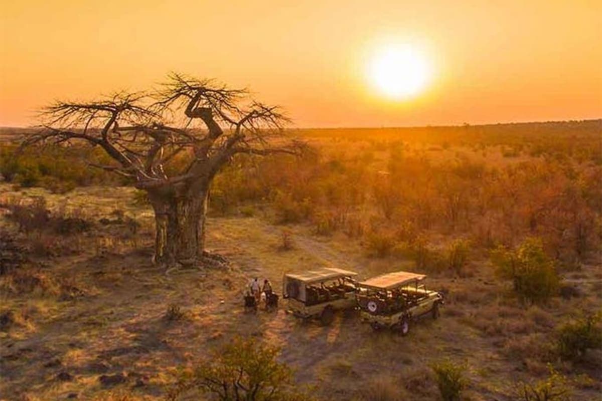 chobe-national-park - photo 2