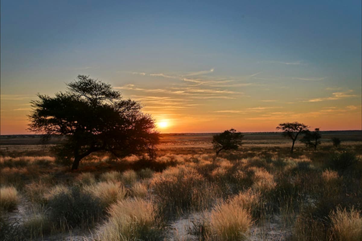 kgalagadi-transfrontier-park - photo 2