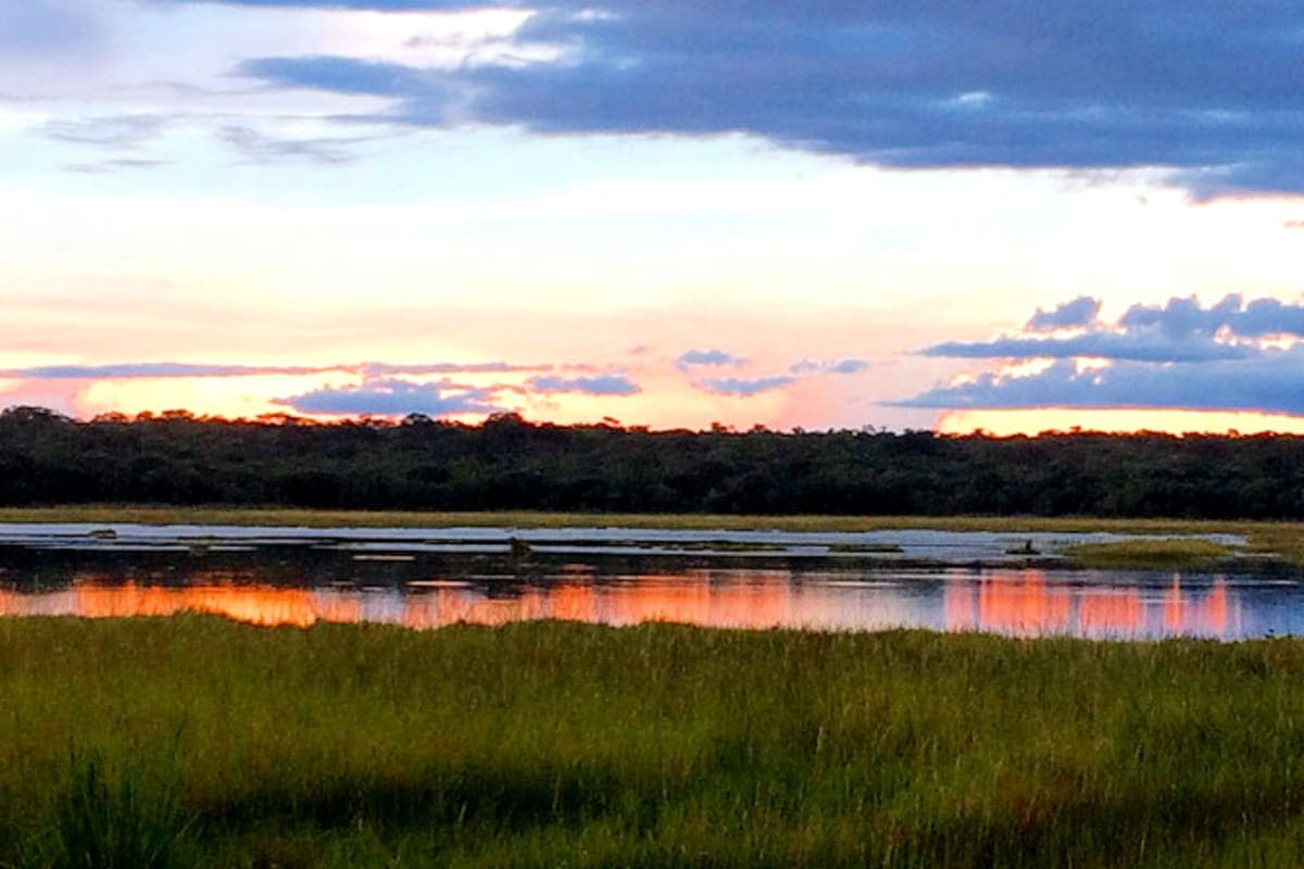 KASANKA NATIONAL PARK - photo 3