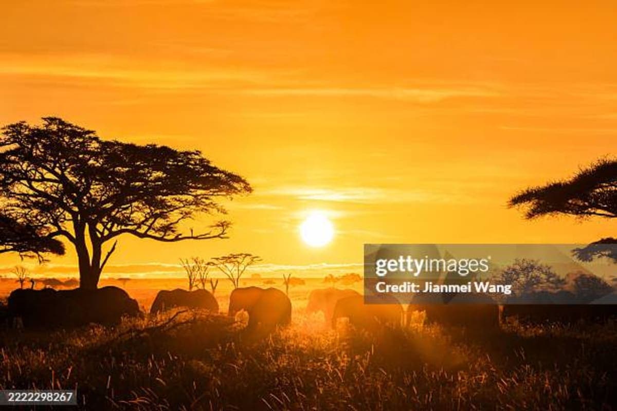 Maasai Mara - photo 2