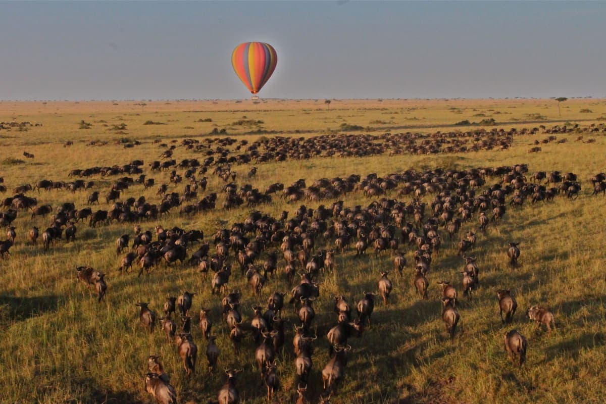 Hot Air Ballooning in Mara - photo 3