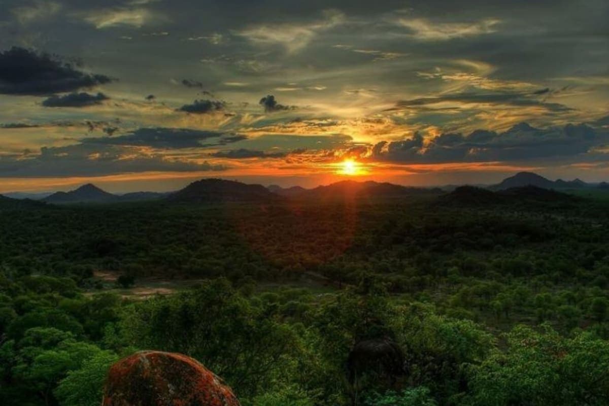 save Valley Conservancy - photo 1