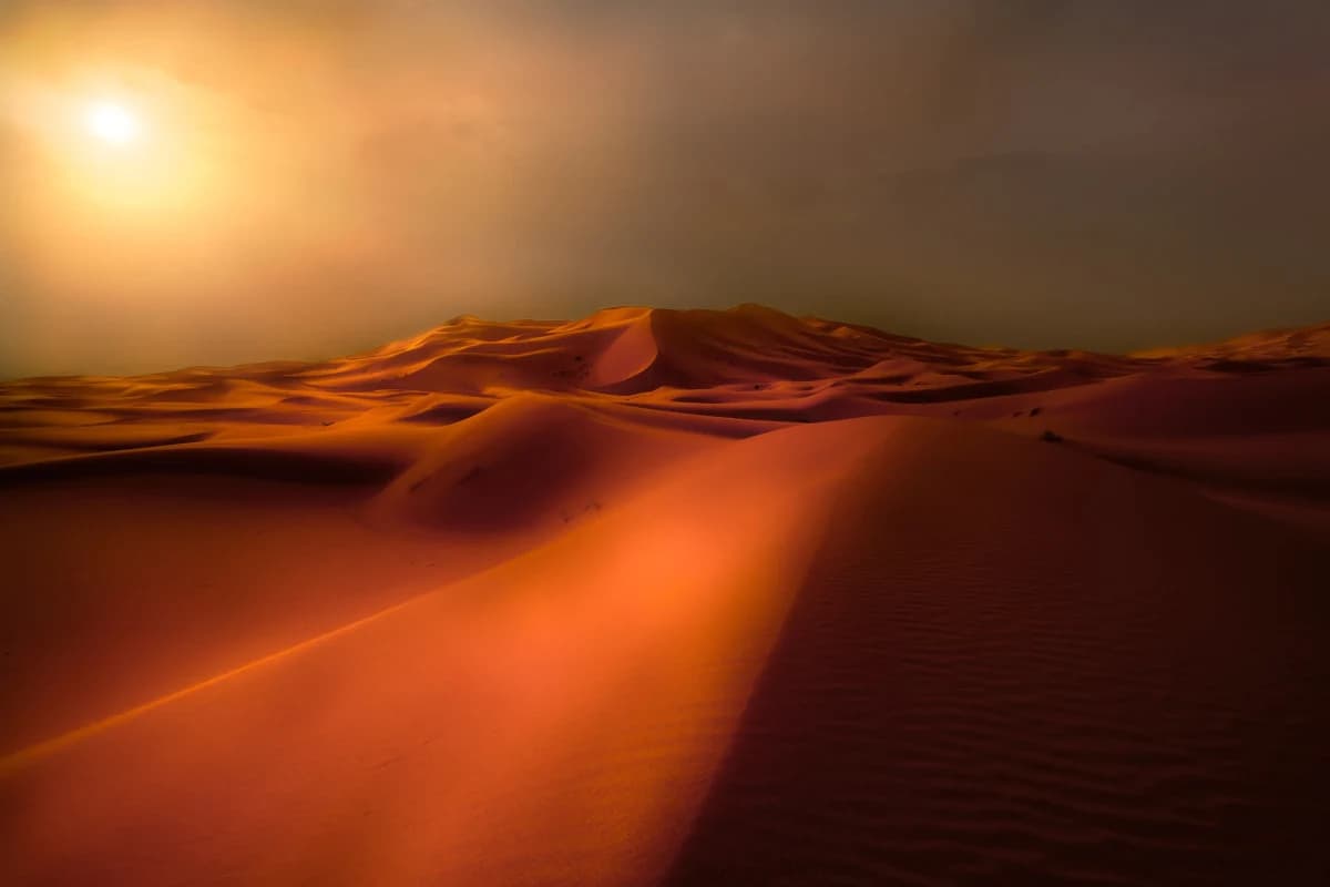 Sahara Desert - photo 2