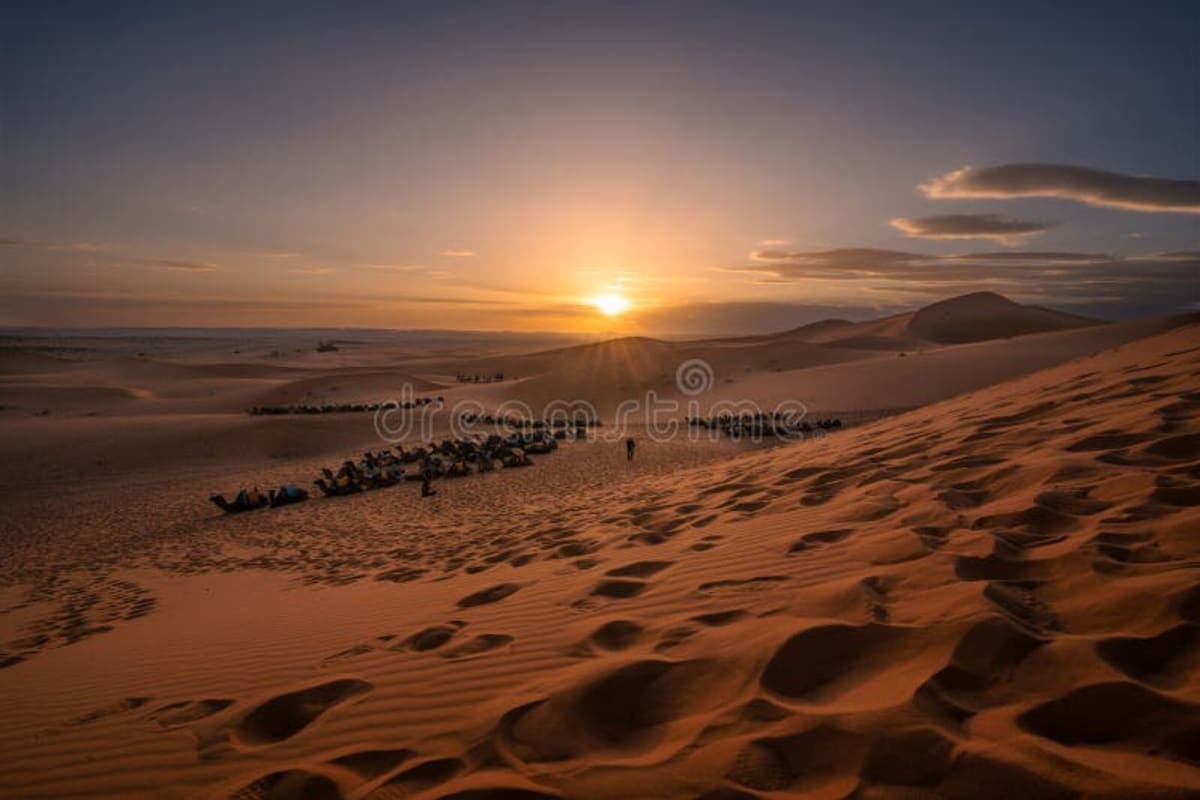 Sahara Desert - photo 3