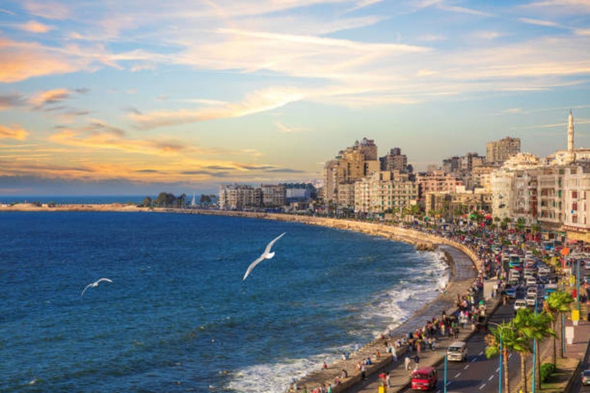 Alexandria - photo 2