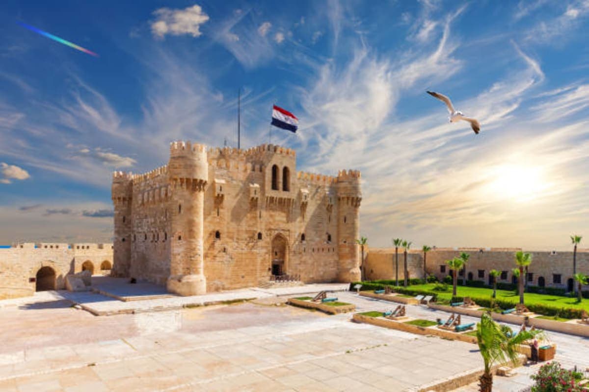Alexandria - photo 3