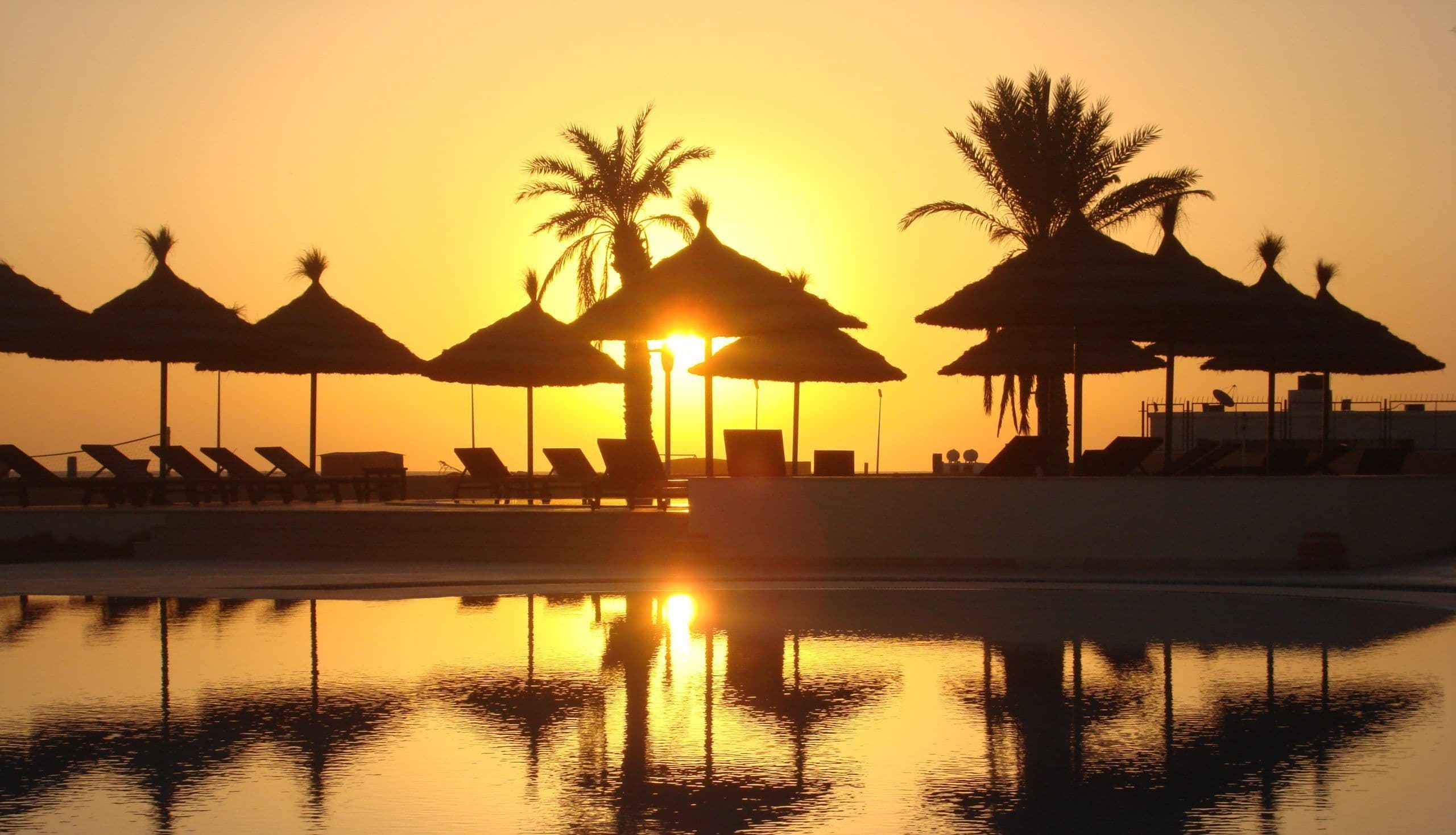 Opportunities Throughout the Year